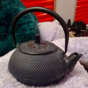 Cast Iron Tea kettle